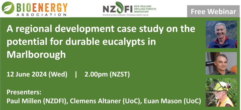 image: webinar banner - durable eucalypts in Marlborough